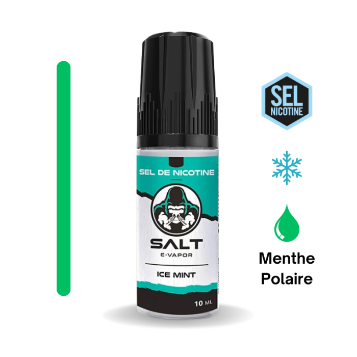 Ice Mint - SALT - E-Vapor